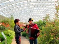 Fiddlebox in the Great Glasshouse