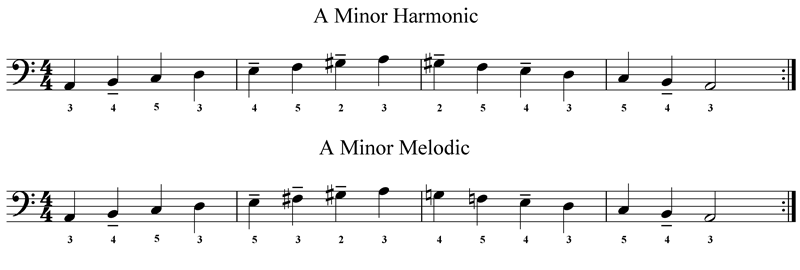 Accordion Bass Scales Minor Fingering