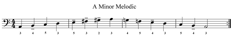 Accordion Bass Sheet Music -Am Melodic