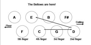 Bass Scale Diagram C Major
